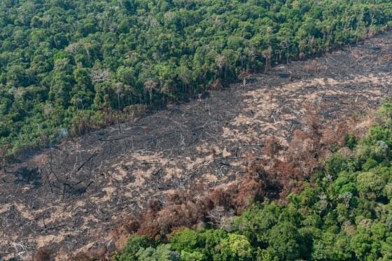 Estado anula mais de R$ 2,4 milhões em multas ambientais